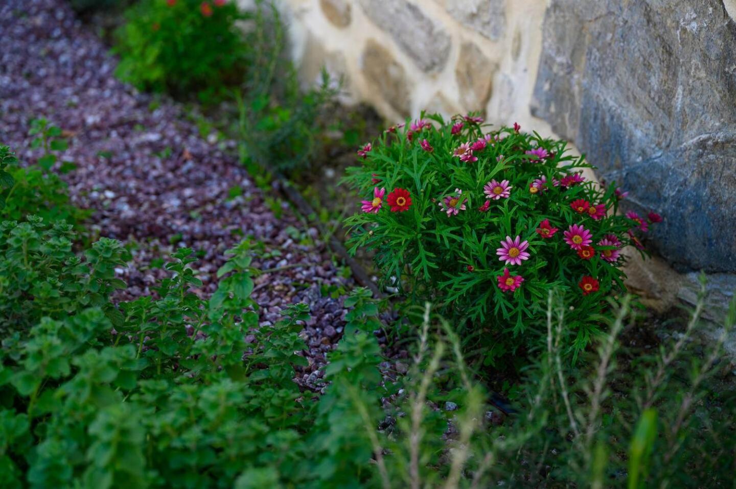 Physis Country House Near Matala Beach & Faistos Kouses Exteriör bild